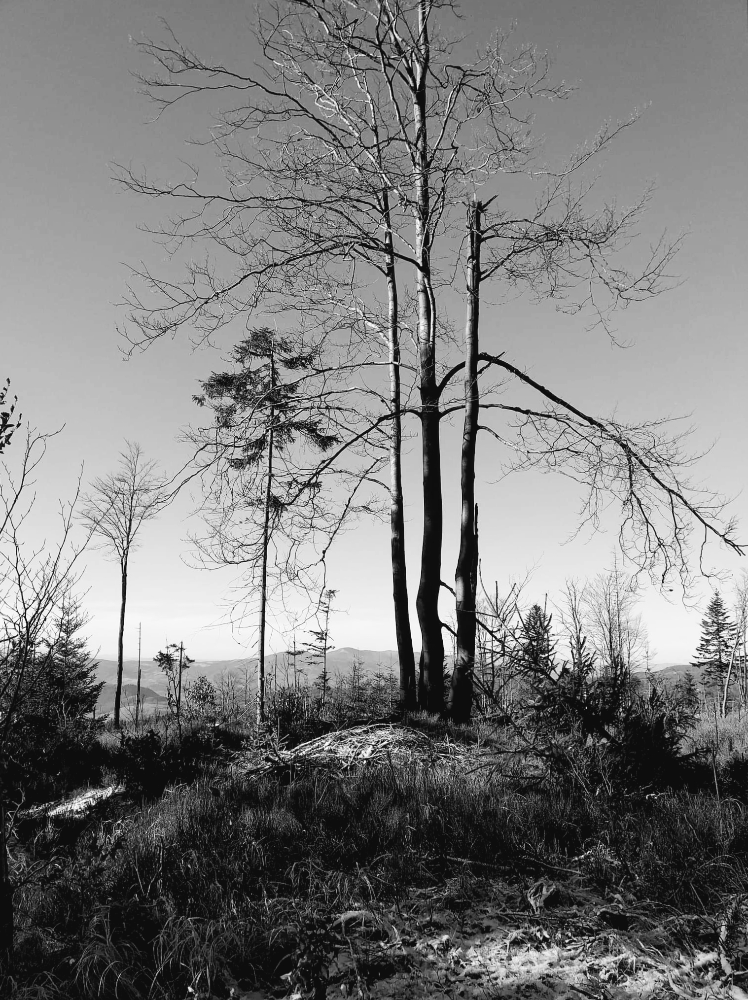 jakie są objawy depresji