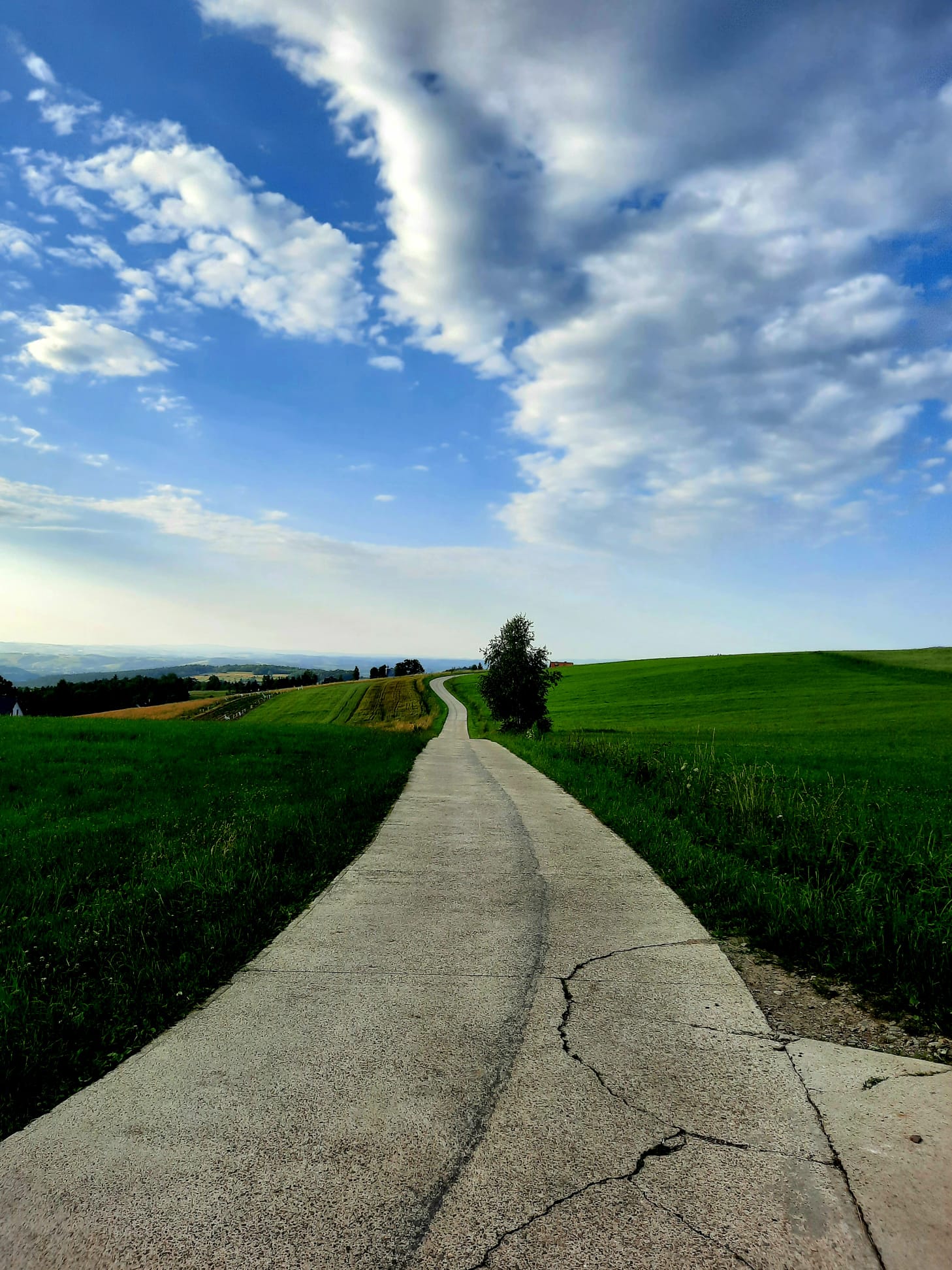 psycholog, psychoterapeuta.