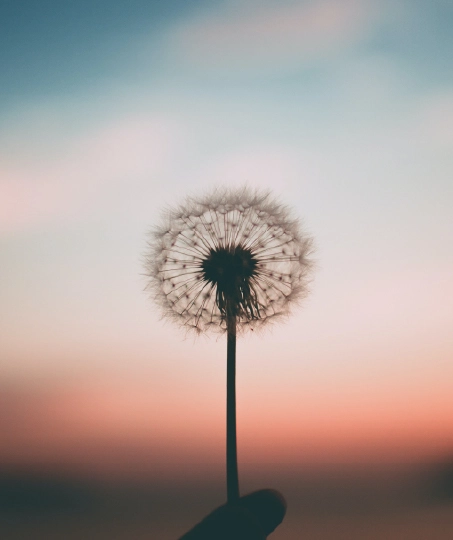 mental, psychoterapeuta, psychiatra, psycholog dziecięcy. Psychoterapia.