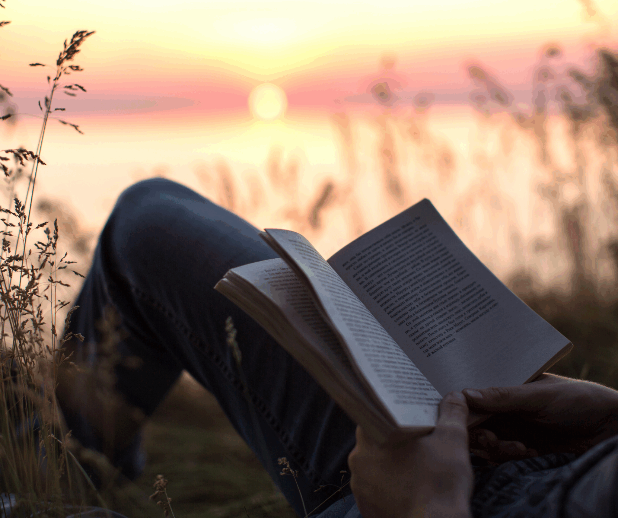 wycofanie społeczne