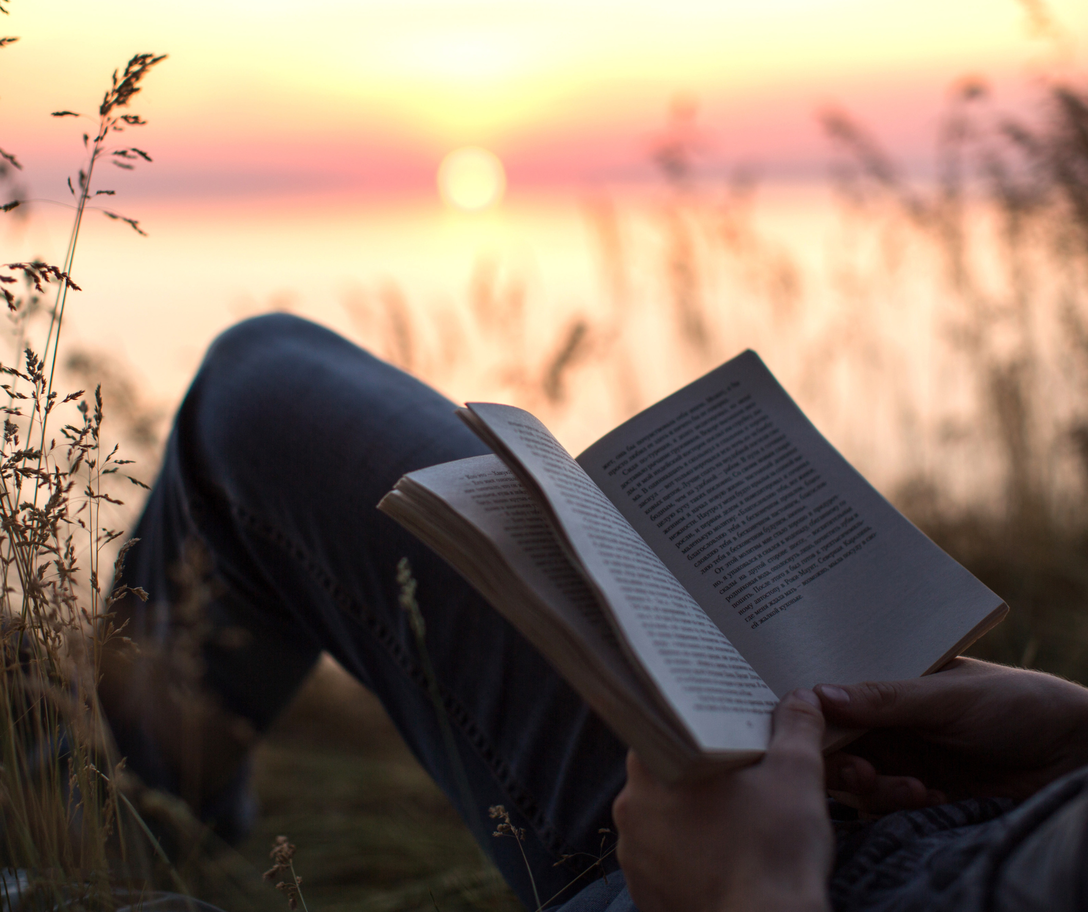 wycofanie społeczne