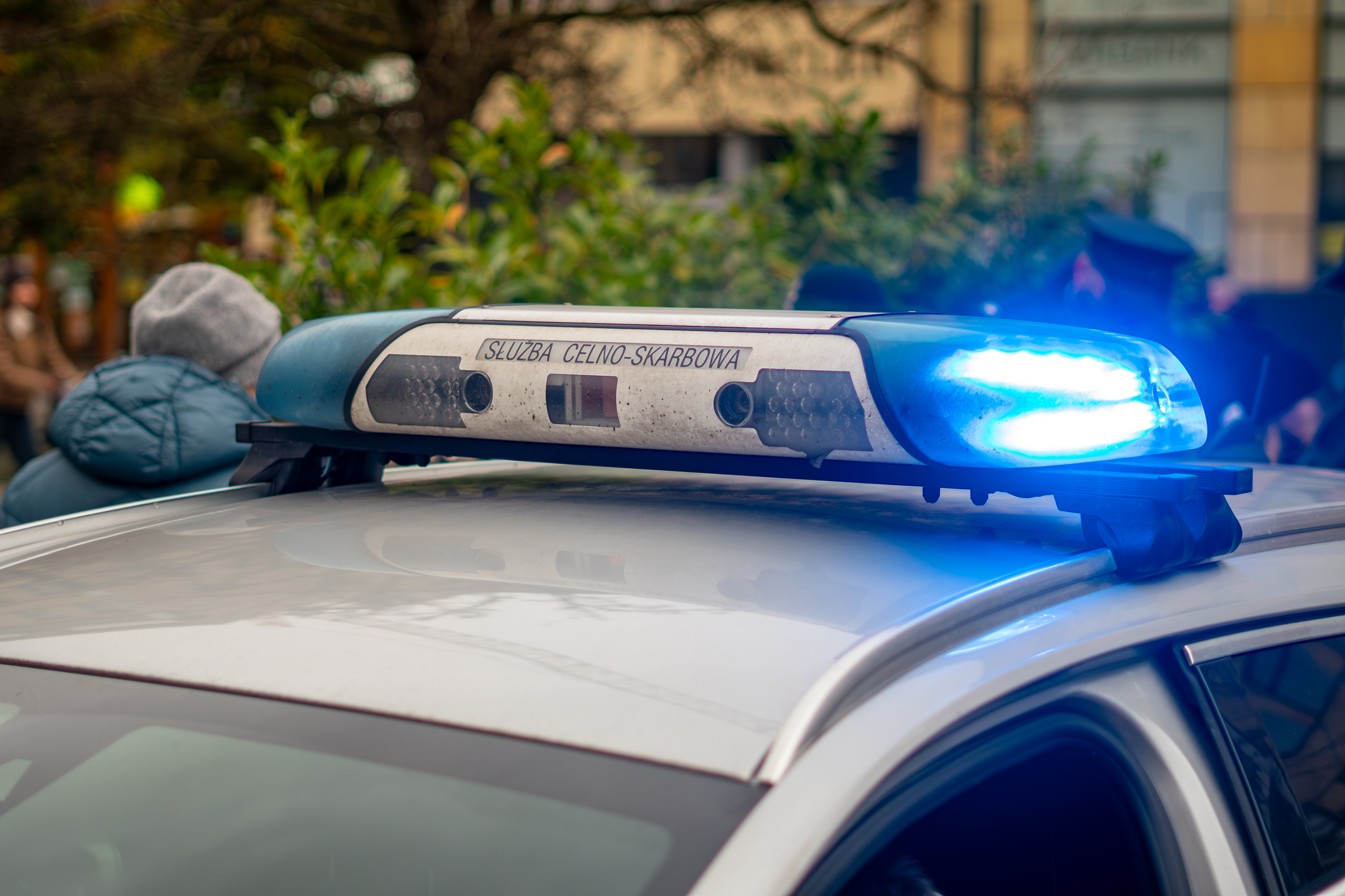 służba celno-skarbowa